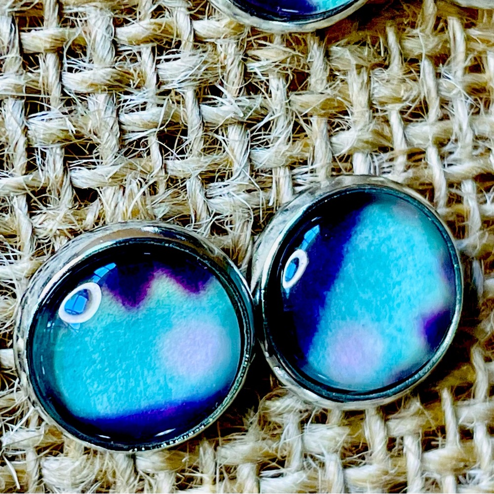 Blue/Light Blue Stud Earrings